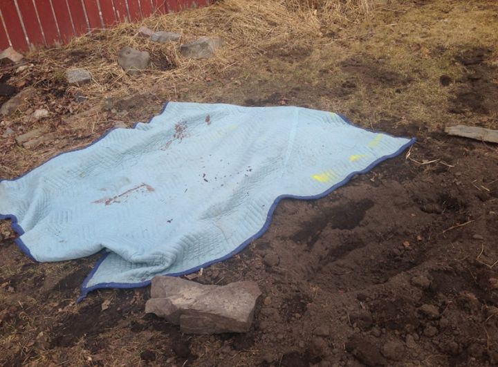 Dog-killed-Renfrew