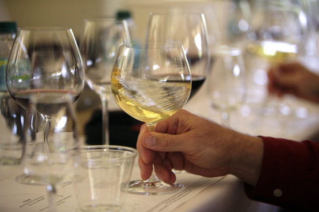 In this May 20, 2009 file photo a glass of white wine is swirled during a tasting in California.
