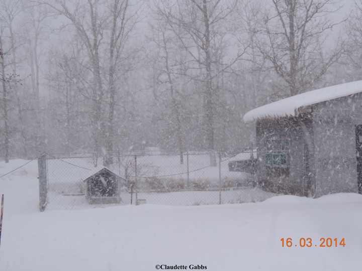 Ste. Anne Manitoba March 16 2014 Claudette Gabbs