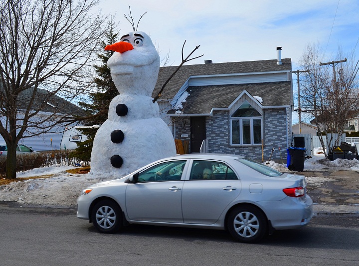 Neighbours drive past a 20-foot snow sculpture of Olaf in Saint-Jean-Sur-Richelieu, Que. on March 23, 2015.