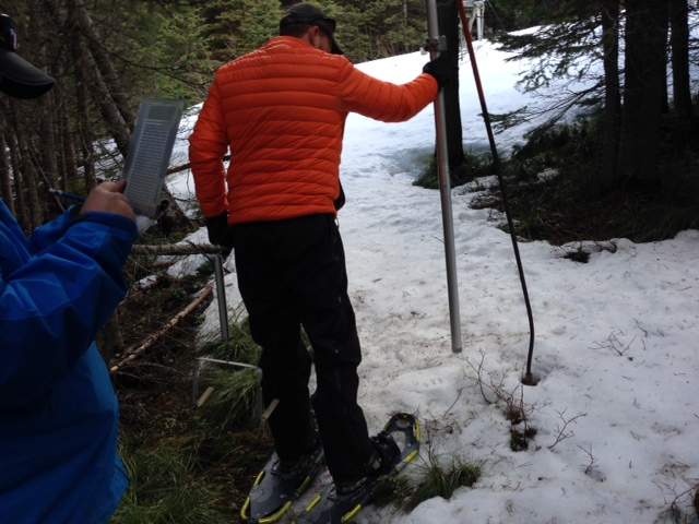 Below average snowpack in the Oldman River Basin - image