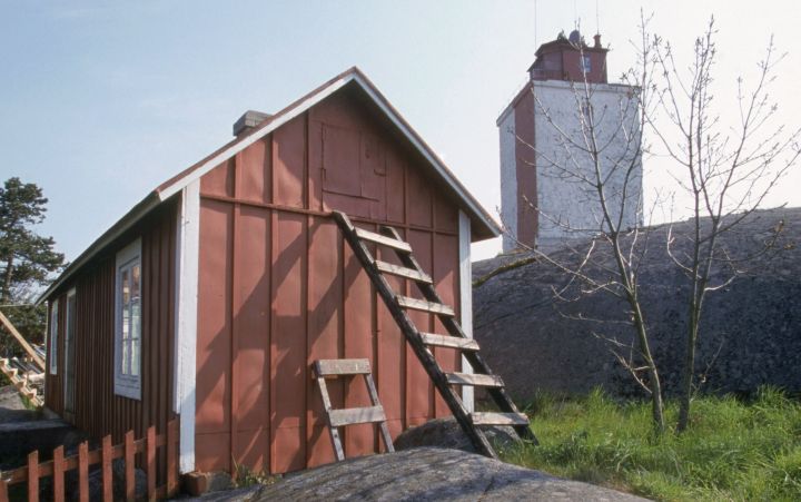 Wooden ladder
