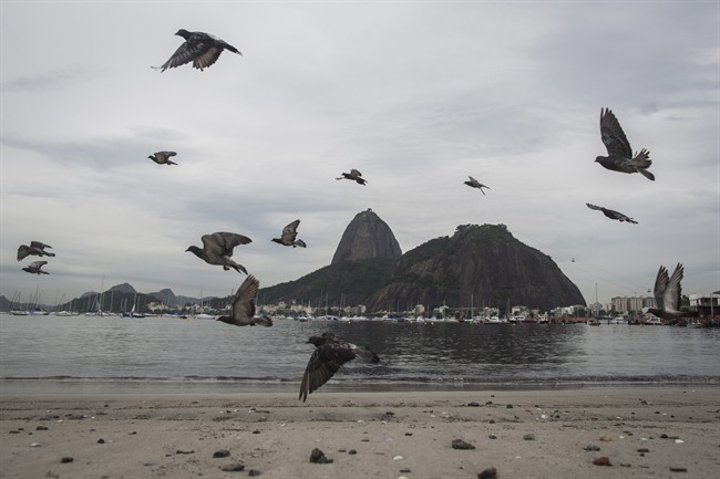 Pigeons fly over the polluted Botafogo beach at Guanabara Bay during a tour for the press in Rio de Janeiro, Brazil, Tuesday, March 10, 2015. The government of Rio de Janeiro is turning to Dutch experts for help in cleaning up the trash-filled bay in time for the 2016 Olympic sailing events. Researchers have created a system that compiles weather, water-quality data and possibly real-time footage from cameras around the bay to forecast where litter accumulates and travels in the extensive bay of 146 square miles.