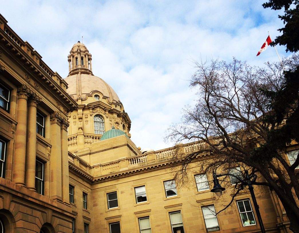 Improvements to the government's STEP initiative will help students get more work.
