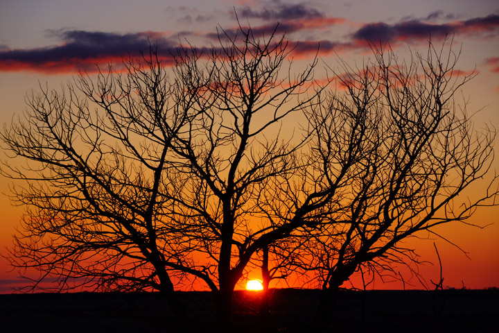 April 7: This Your Saskatchewan photo was taken by Amy Wildeman at Esk.