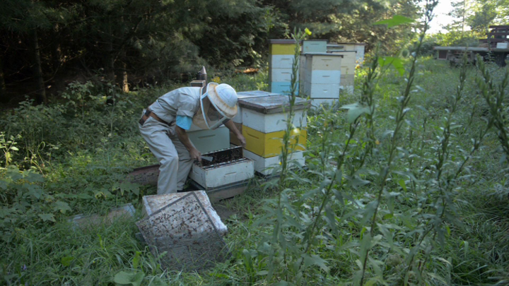 Jim blames a new class of pesticides called neonicotinoids for playing a key role in his bee losses.