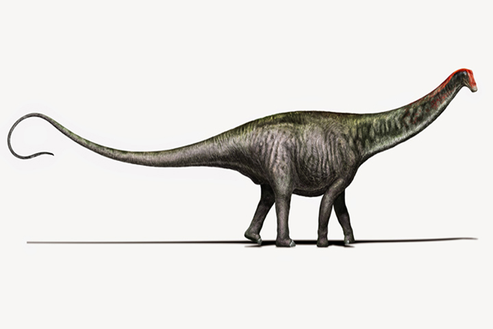 The Brontosaurus is back.
