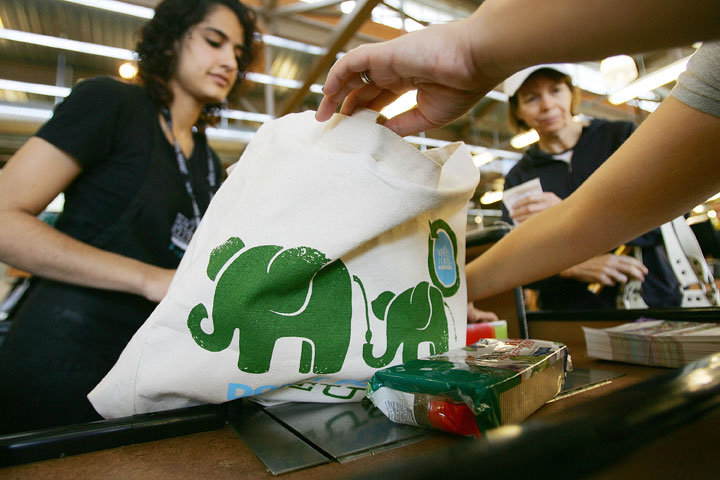 Reusable grocery bags