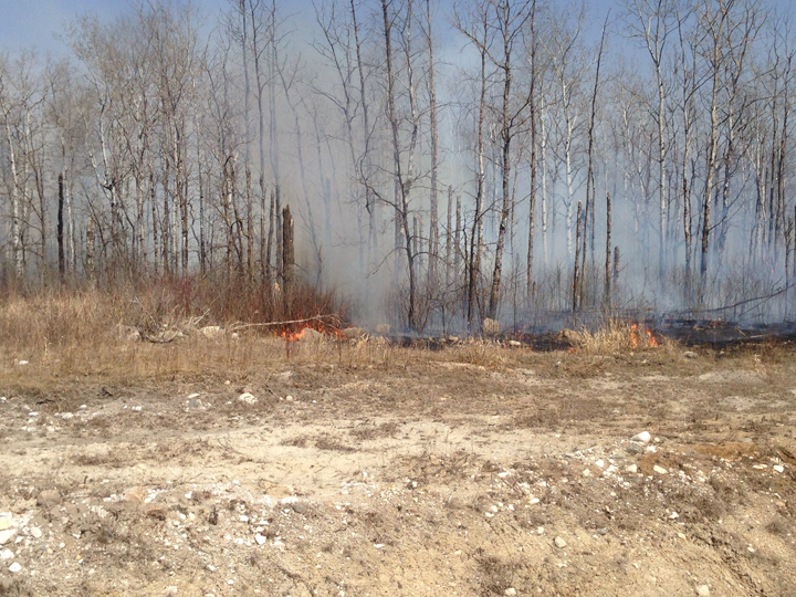 Manitoba fire Winnipeg wind