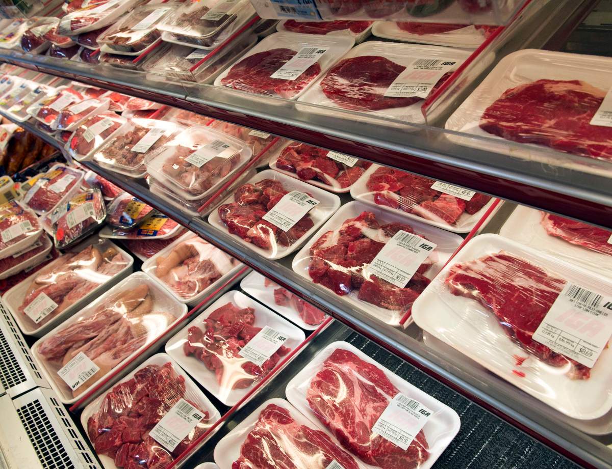 Tainted lunch: Navigating gaps in Canada’s food safety system - image