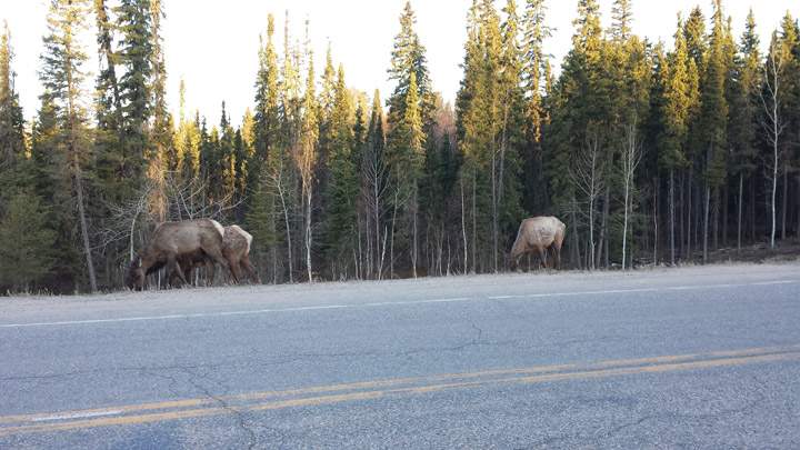 May 20: This Your Saskatchewan photo was taken by Eric Beck at Elkridge.