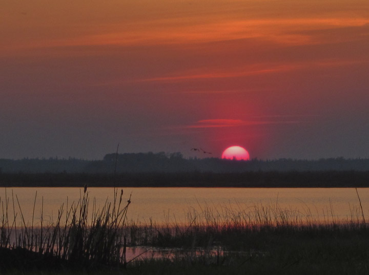 May 29: This Your Saskatchewan photo was taken by Dorothy Caisse in Île-à-la-Crosse.