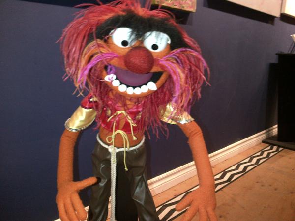 Animal the Muppet is in Halifax for a Tribute to Jim Henson, May 2015.