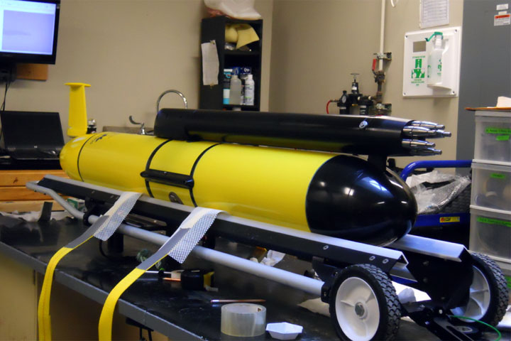 The glider resembles a tiny airplane and is programmed to remain at the surface if it is unable to communicate.