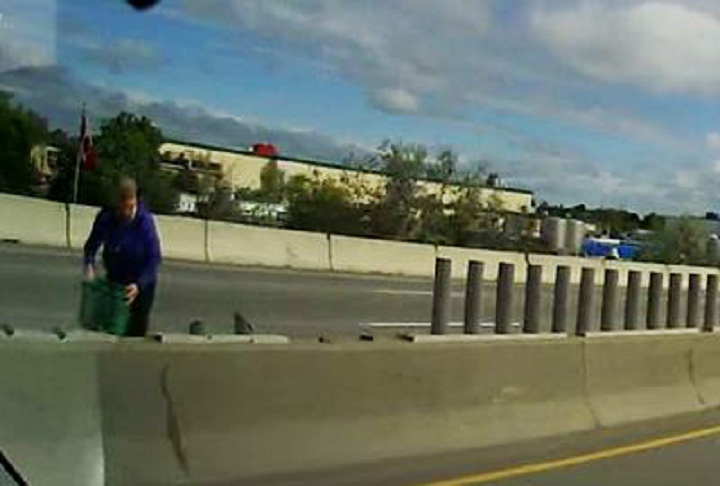 A still from video shared on social media of a woman who allegedly was trying to rescue ducks on a highway in Ottawa on May 20, 2015.