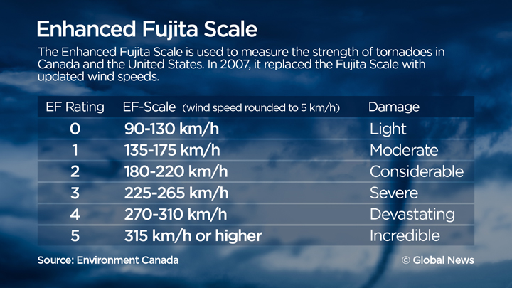 First tornado of Ontario storm season confirmed - image