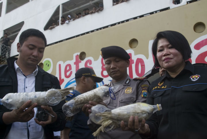 A 37-year-old man was arrested after he alighted a passenger ship in Tanjung Perak port in Surabaya, in eastern Java island. Police found 21 yellow-crested cockatoos and one green parrot.