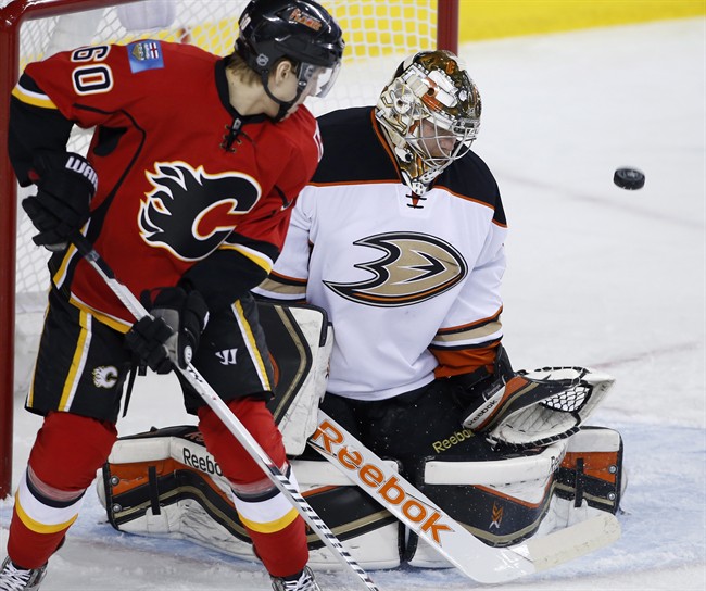 Ducks Flames