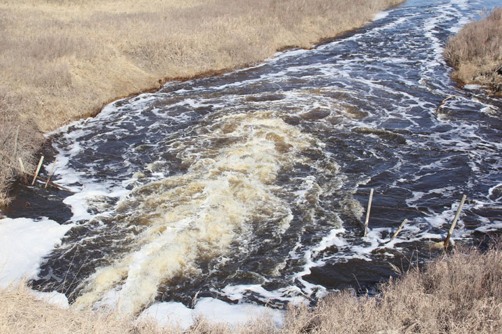 May 3: This Your Saskatchewan photo was taken by Amanda Risling near Scott.