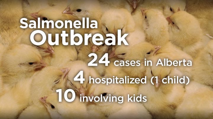Salmonella outbreak Alberta