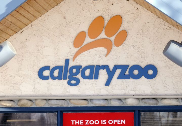 Calgary Zoo file