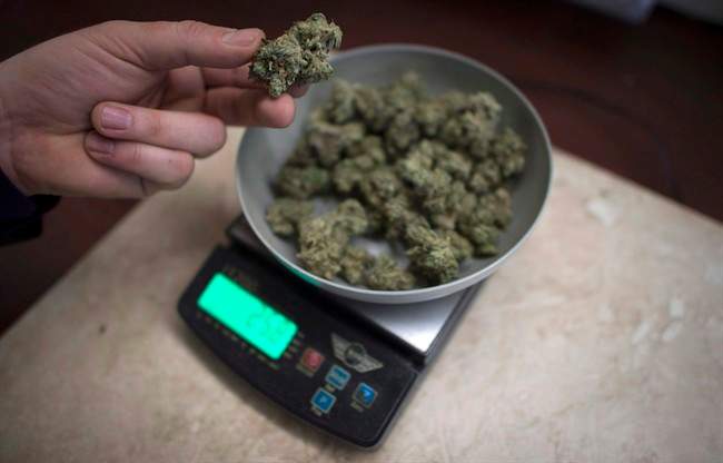 Marijuana is weighed at a medical marijuana dispensary, in Vancouver, Wednesday, Feb. 5, 2015.