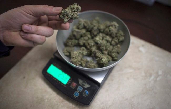 Marijuana is weighed at a medical marijuana dispensary, in Vancouver, Wednesday, Feb. 5, 2015.