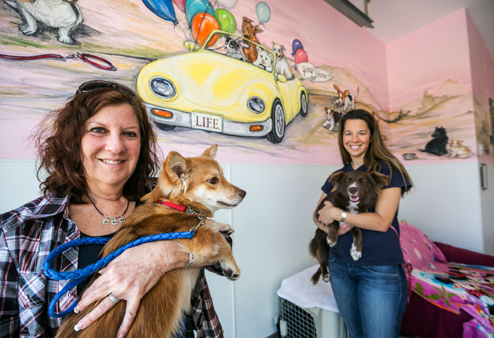 In this Wednesday, May 20, 2015 photo, Laurie Bernie, left, and daughter Emily Bernie, right, founder and president at LIFE Animal Rescue, pose for a photo with rescued dogs Casey, left, and Velvet at their shelter in Agoura Hills, Calif. LIFE Animal Rescue has placed 50 dogs rescued from Thailand over the past two years. Moreover, the 24-year-old rescue has placed more than 6,000 dogs locally, since it was started.