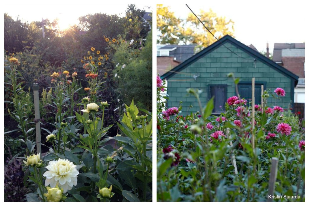 The InstaList: Canada’s Most Gorgeous Gardens on Instagram - image
