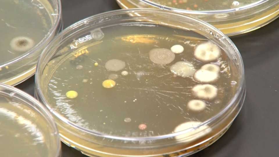 Lab tests show your money can be incredibly dirty