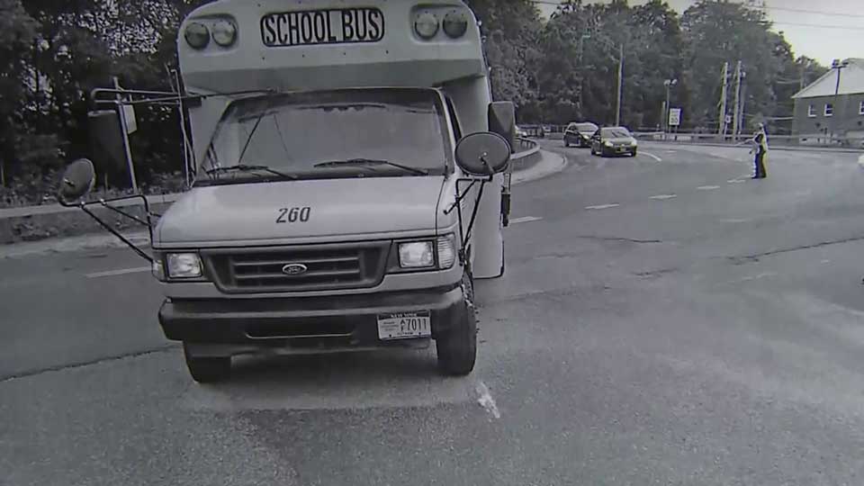 Service dog jumps in front of bus to protect visually impaired owner