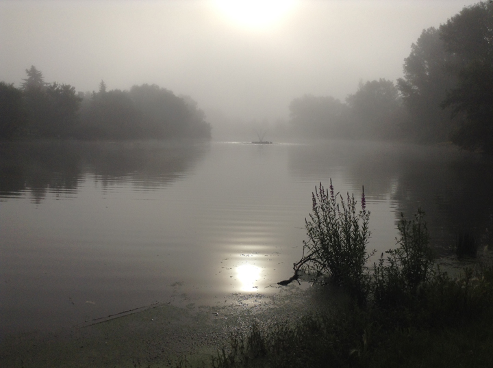 Fog Winnipeg Chancellor Drive weather
