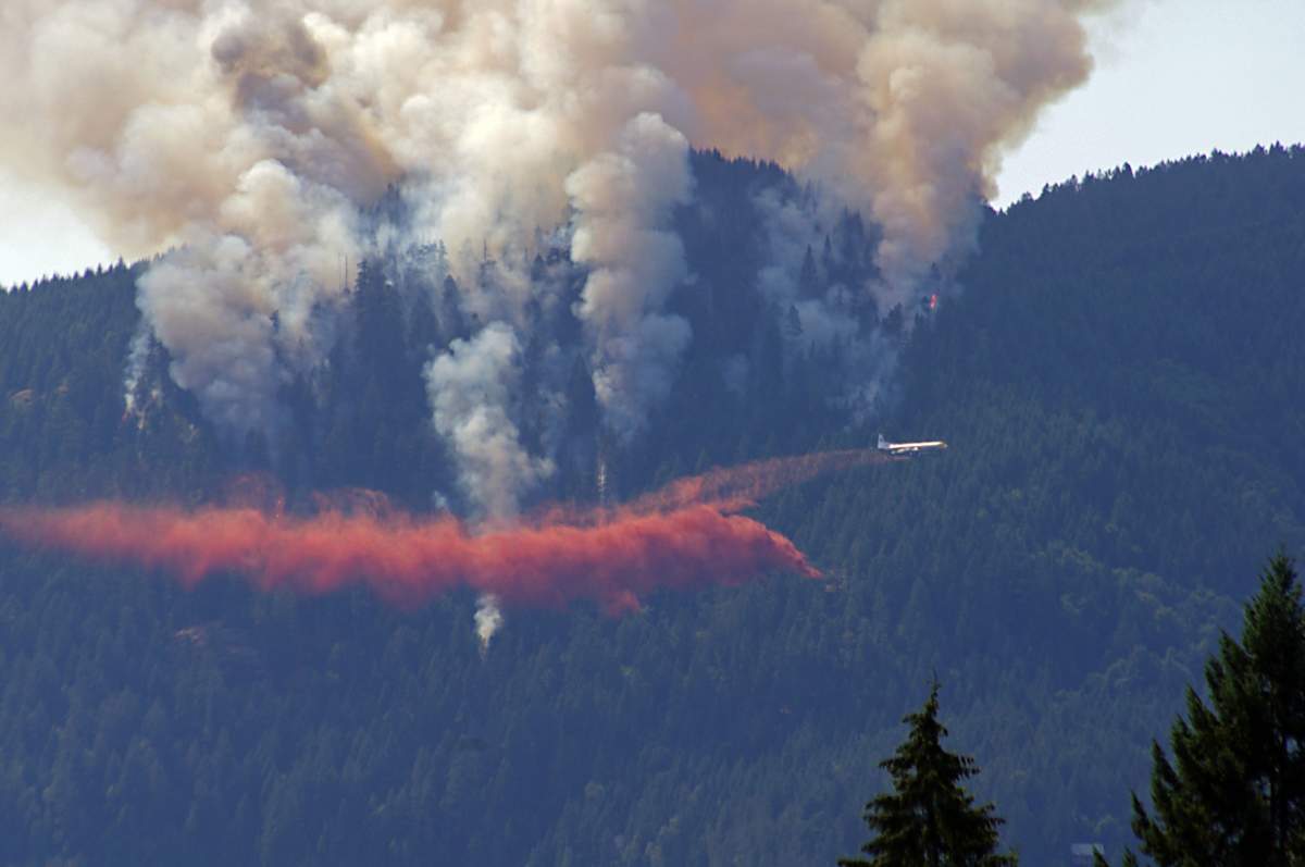 Fire burns next to Sproat Lake; tactical evacuation of cabins underway - image