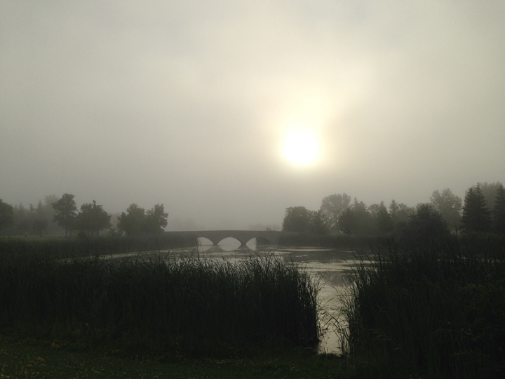 Winnipeg fog weather
