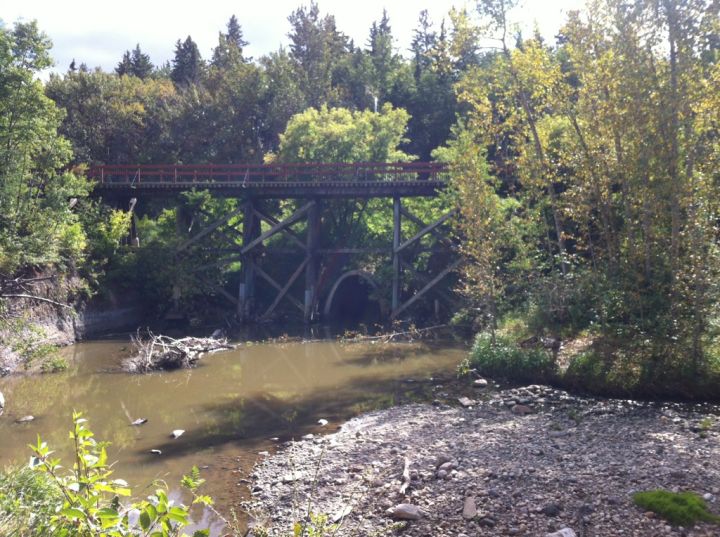 Mill Creek Ravine Edmonton