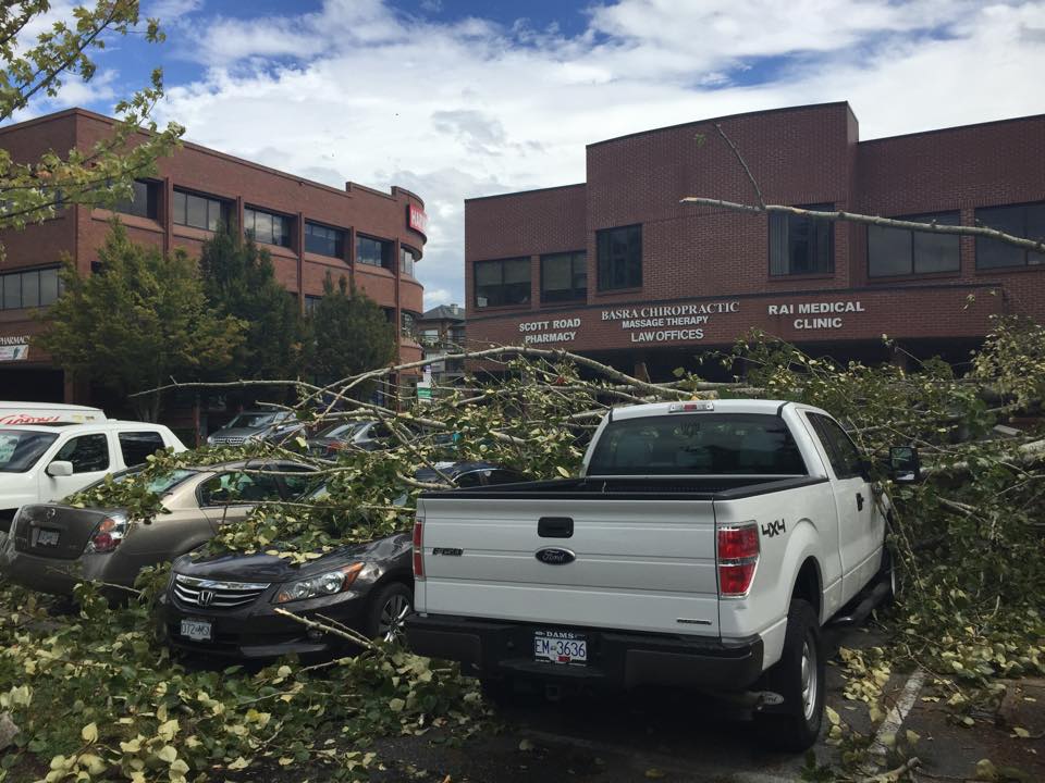 PHOTOS: Largest South Coast storm in a decade causes mass power outages - image