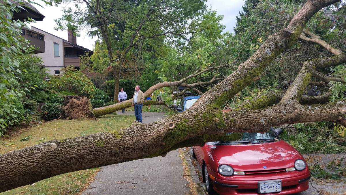 PHOTOS: Largest South Coast storm in a decade causes mass power outages - image