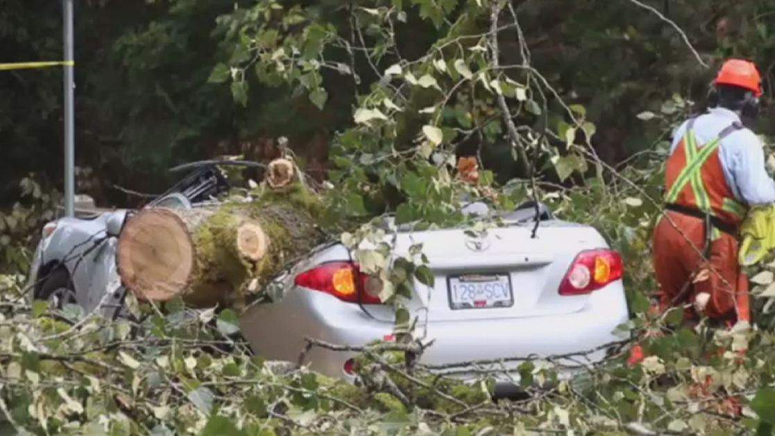 PHOTOS: Largest South Coast storm in a decade causes mass power outages - image