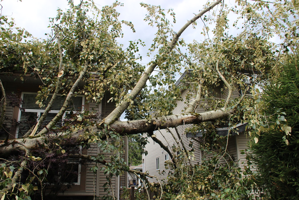 PHOTOS: Largest South Coast storm in a decade causes mass power outages - image