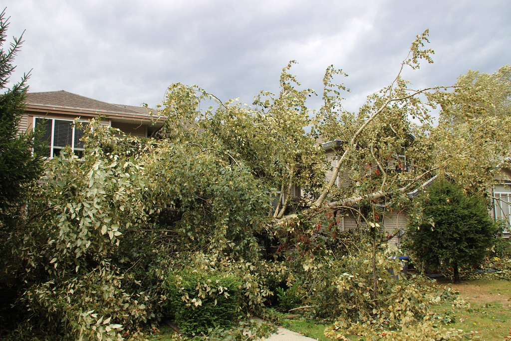 PHOTOS: Largest South Coast storm in a decade causes mass power outages - image