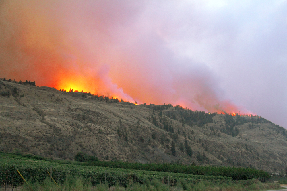 PHOTOS: A visual look at the last three days of fires in southern B.C. - image