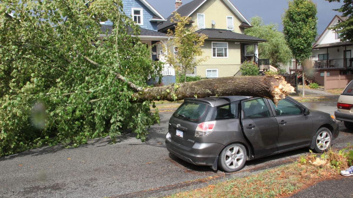 PHOTOS: Largest South Coast storm in a decade causes mass power outages - image