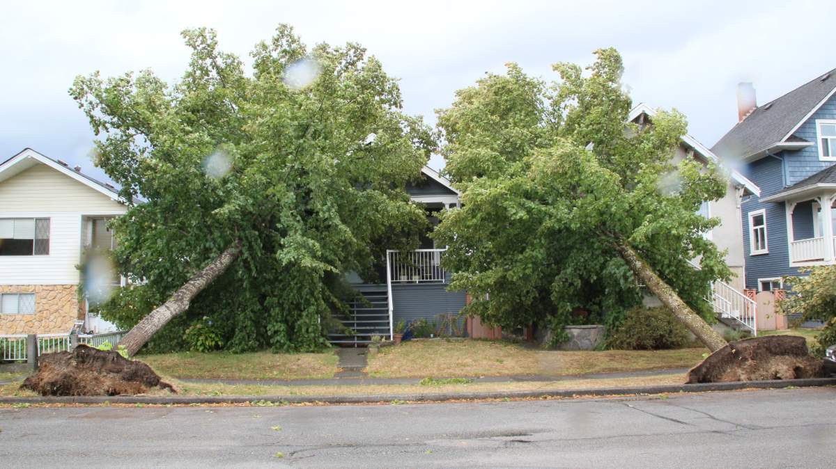 PHOTOS: Largest South Coast storm in a decade causes mass power outages - image