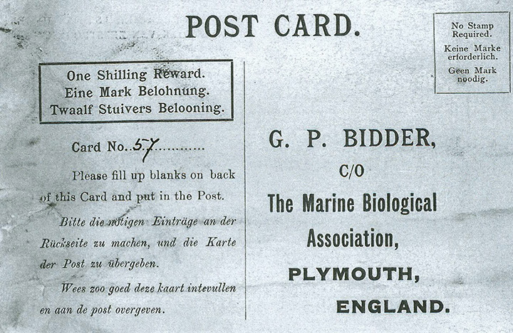 This is an image of a message that was found in a bottle from The Marine Biological Association of the UK made available on Friday Aug. 21 2015.