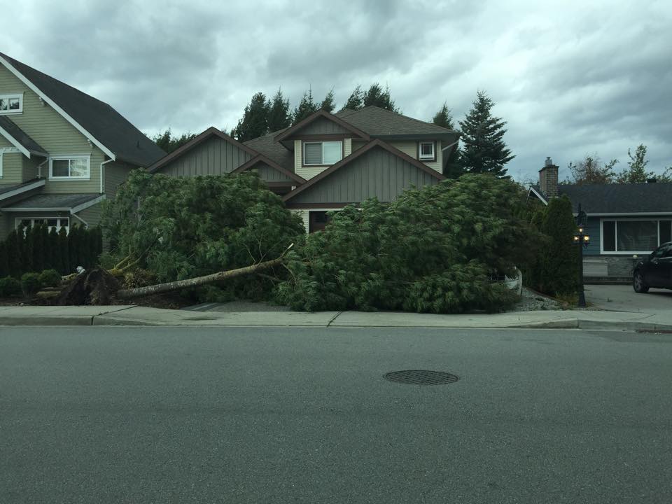 Courtesy Niclas Lompe – Ladner