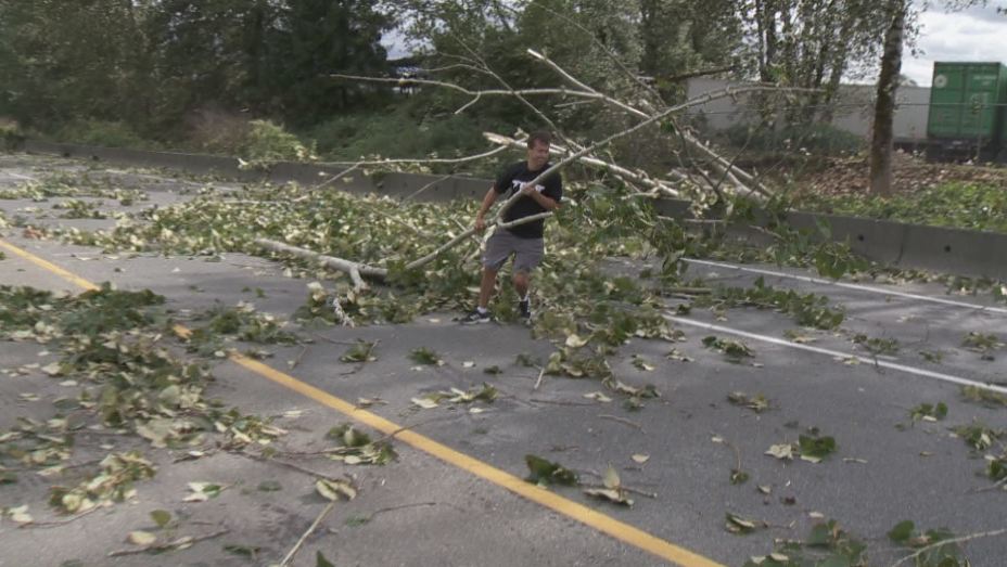 PHOTOS: Largest South Coast storm in a decade causes mass power outages - image