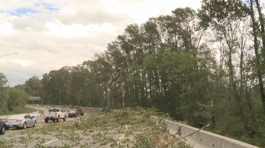 PHOTOS: Largest South Coast storm in a decade causes mass power outages - image
