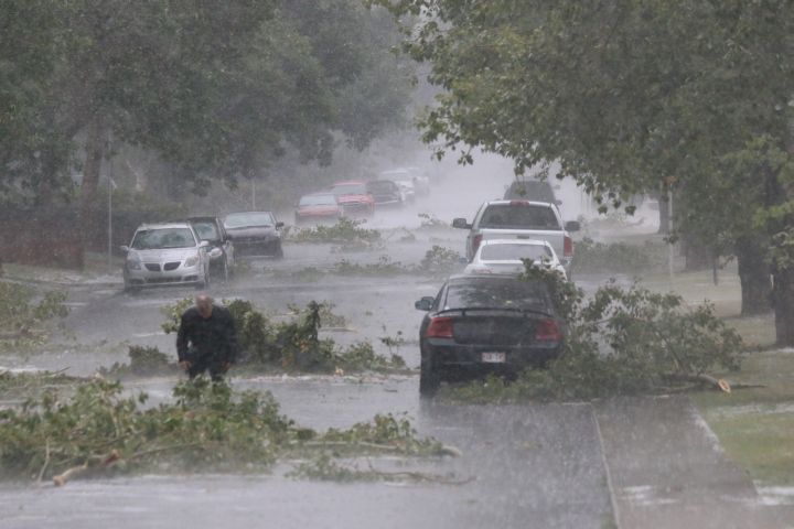 Storm trees down Calgary