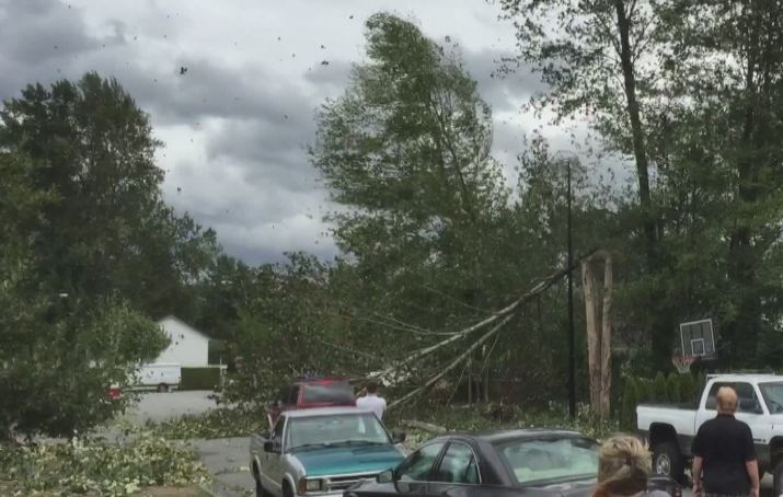 PHOTOS: Largest South Coast storm in a decade causes mass power outages - image