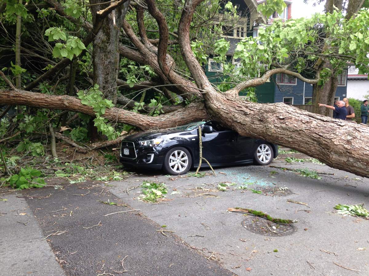 PHOTOS: Largest South Coast storm in a decade causes mass power outages - image